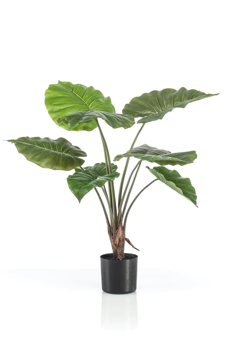 Kunstpflanze Alocasia (Elefantenohr) – 70 cm bis 180 cm