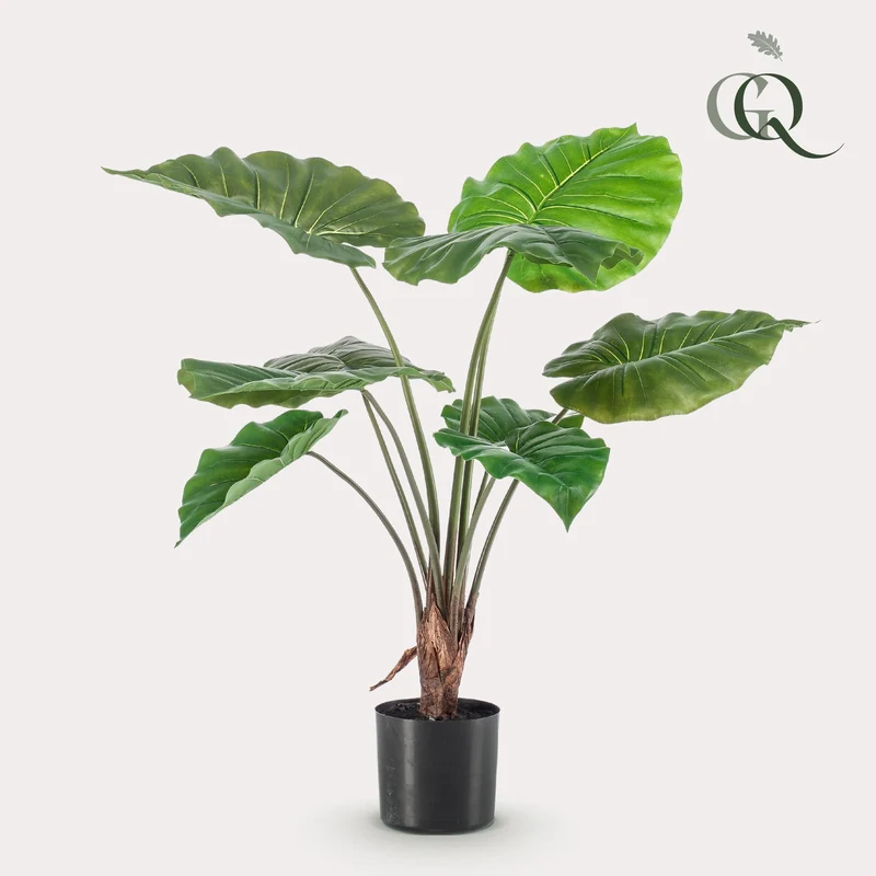 Kunstpflanze Alocasia (Elefantenohr) – 70 cm bis 180 cm