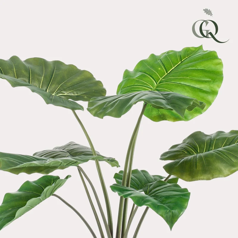 Kunstpflanze Alocasia (Elefantenohr) – 70 cm bis 180 cm