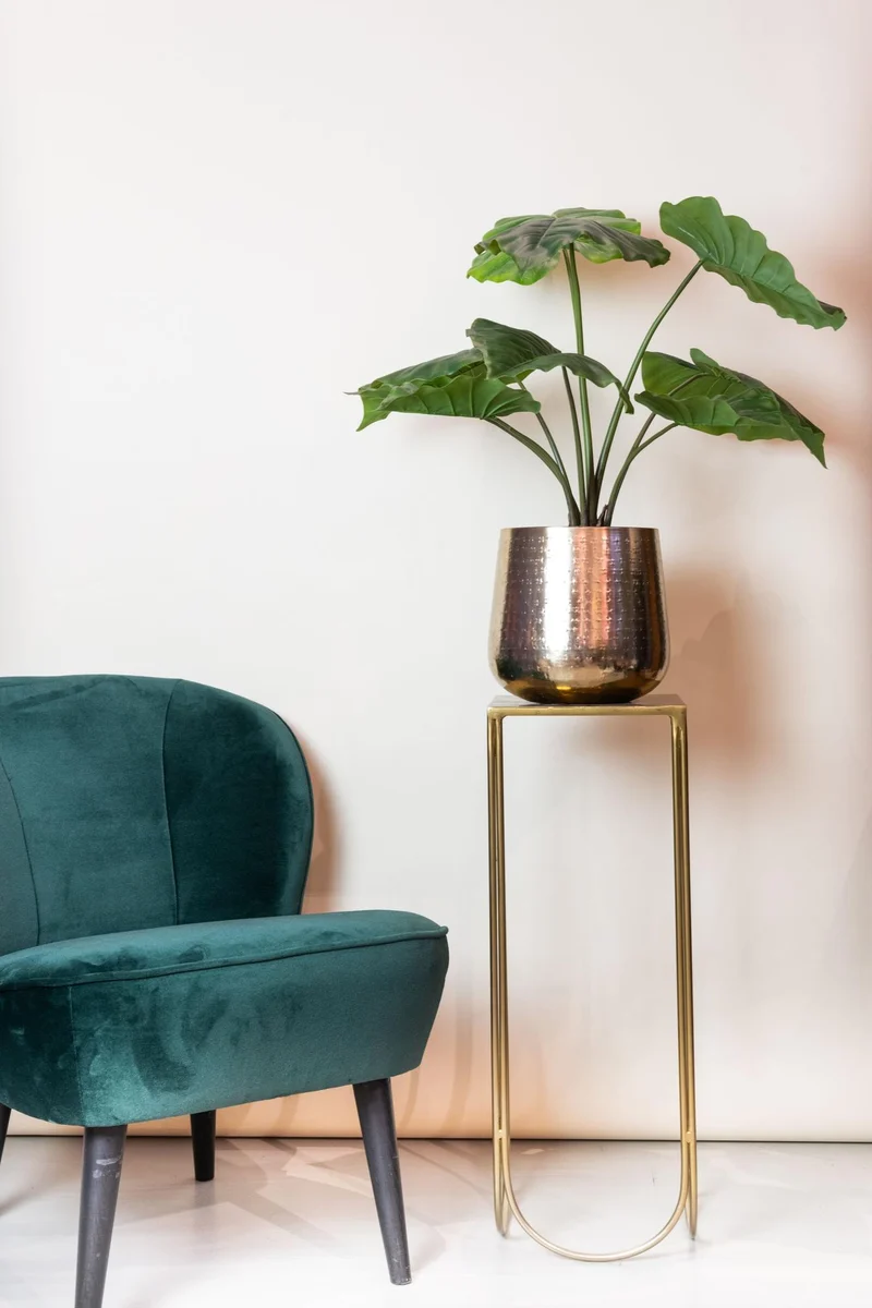 Kunstpflanze Alocasia (Elefantenohr) – 70 cm bis 180 cm