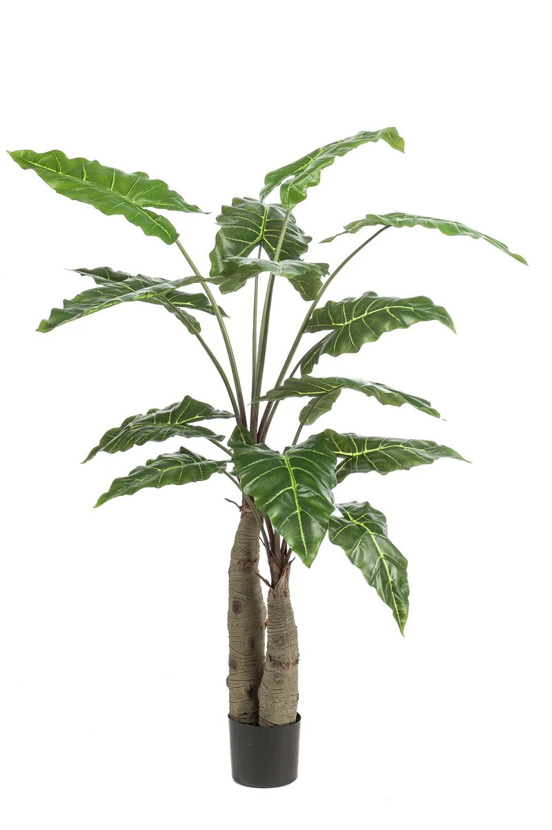 Kunstpflanze Alocasia (Elefantenohr) – 70 cm bis 180 cm