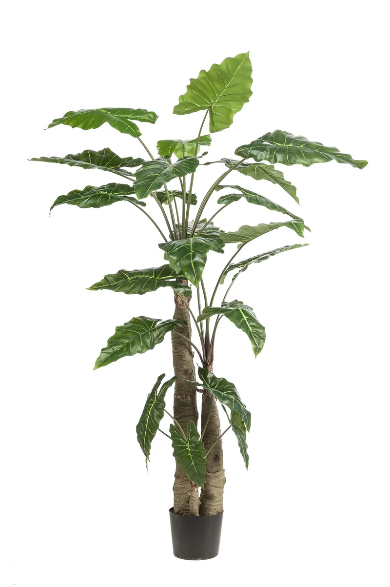 Kunstpflanze Alocasia (Elefantenohr) – 70 cm bis 180 cm