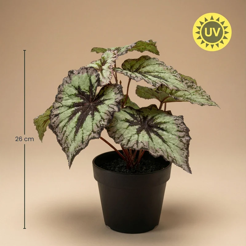 Begonie 26 cm Kunstpflanze im Topf – UV-künstliche Pflanze
