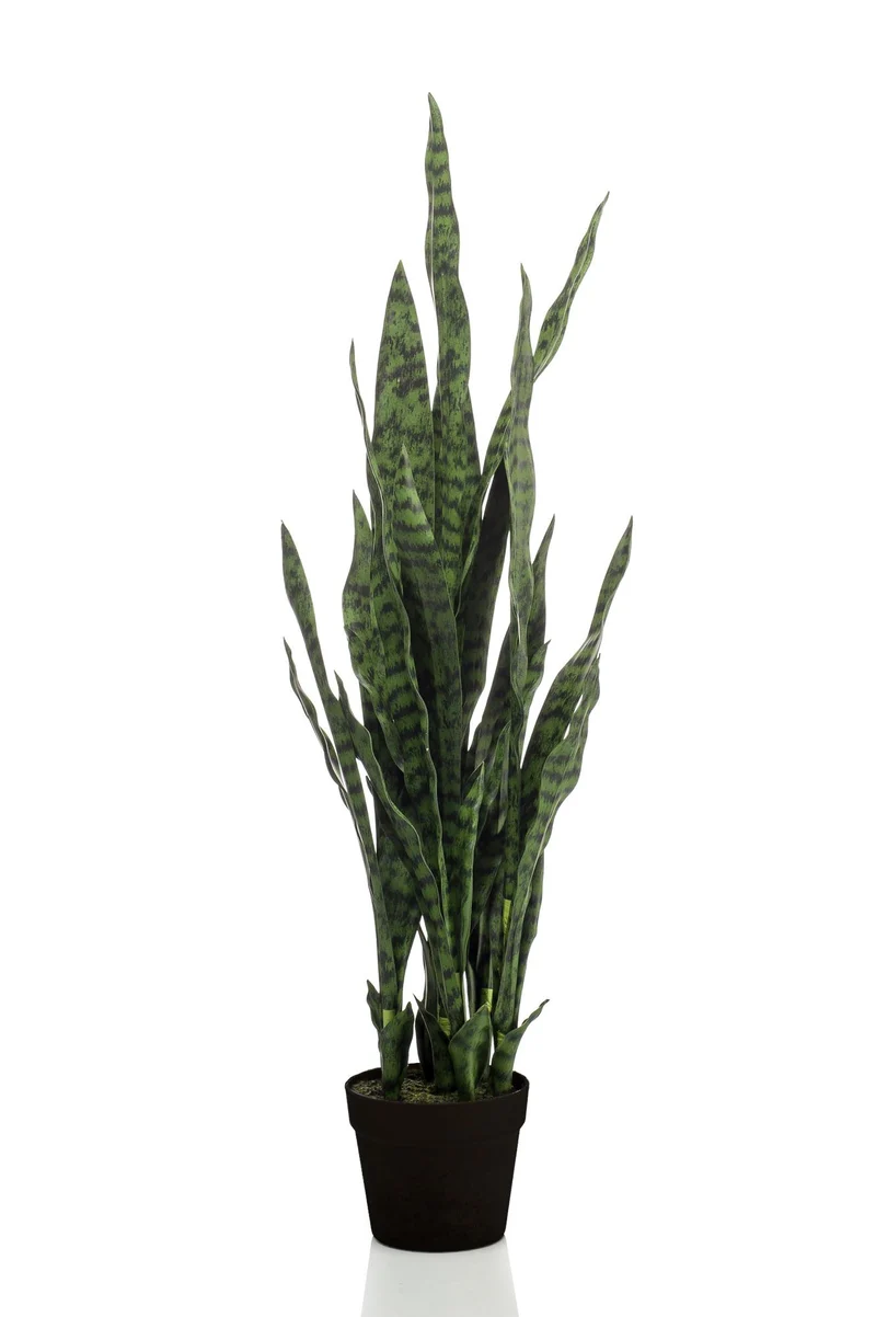 Kunstpflanze Sansevieria ‘Black Coral’ 97 cm | Frauenzunge