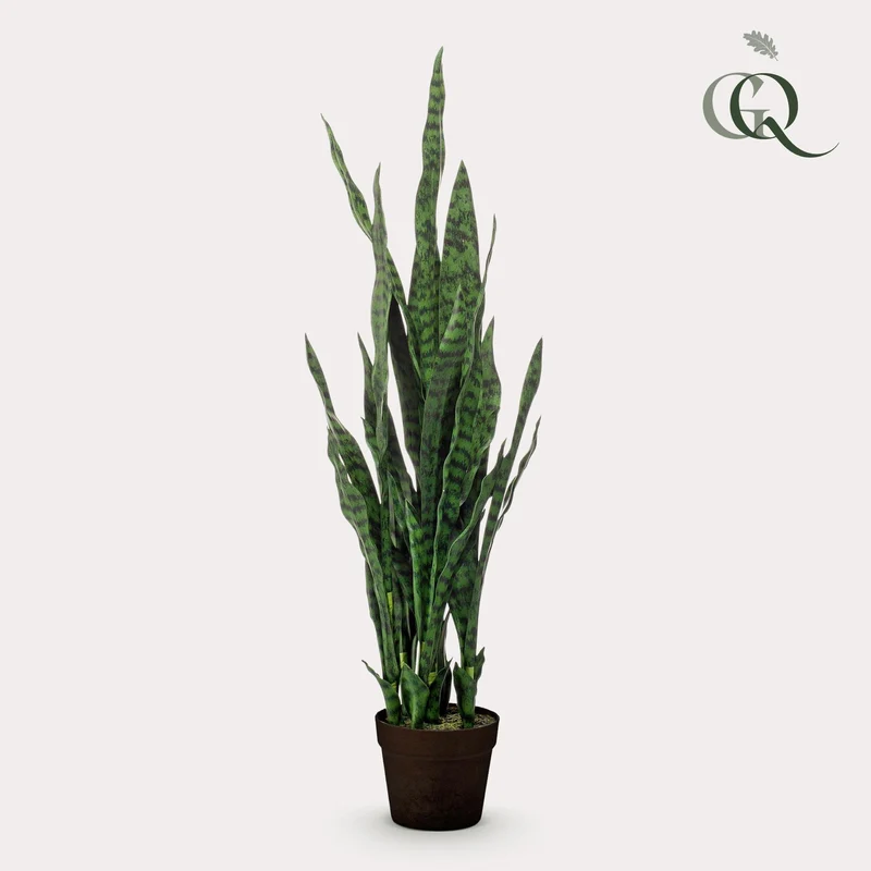 Kunstpflanze Sansevieria ‘Black Coral’ 97 cm | Frauenzunge