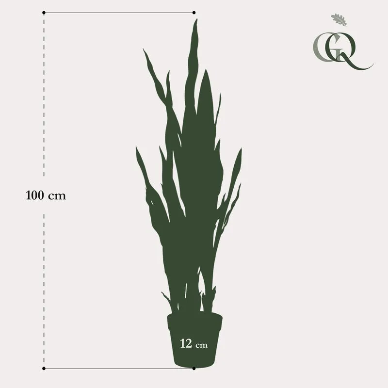 Kunstpflanze Sansevieria ‘Black Coral’ 97 cm | Frauenzunge