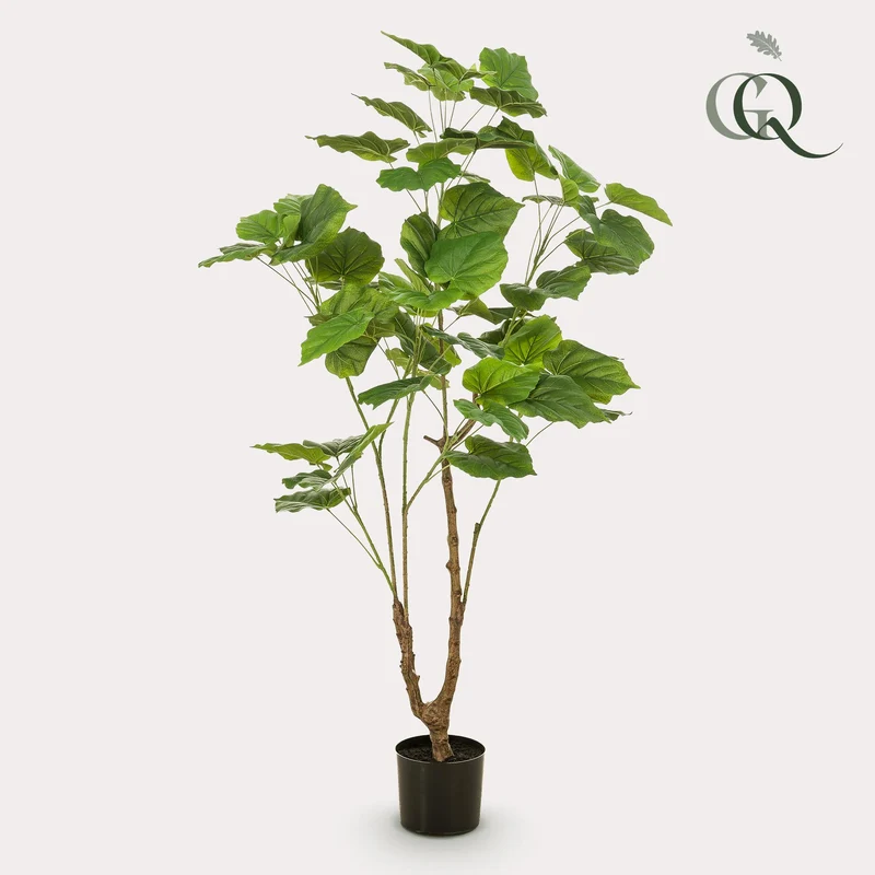 Künstliche Pflanze Ficus umbellata (afrikanische Feige), 125cm & 180cm