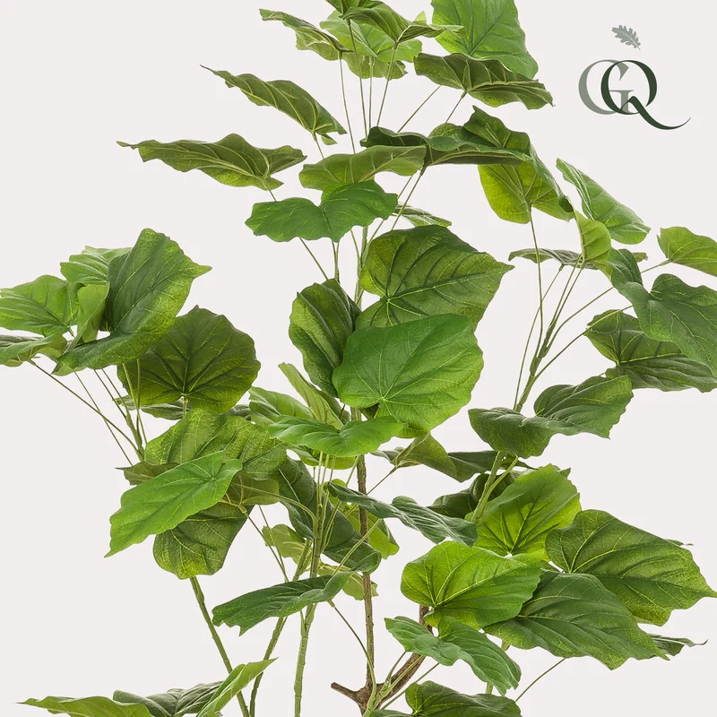 Künstliche Pflanze Ficus umbellata (afrikanische Feige), 125cm & 180cm