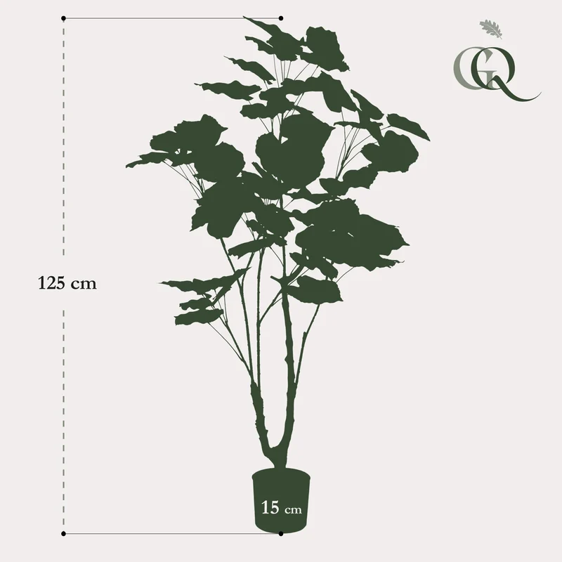 Künstliche Pflanze Ficus umbellata (afrikanische Feige), 125cm & 180cm