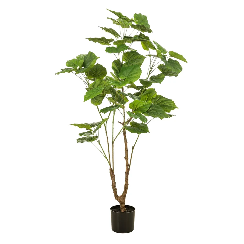 Künstliche Pflanze Ficus umbellata (afrikanische Feige), 125cm & 180cm