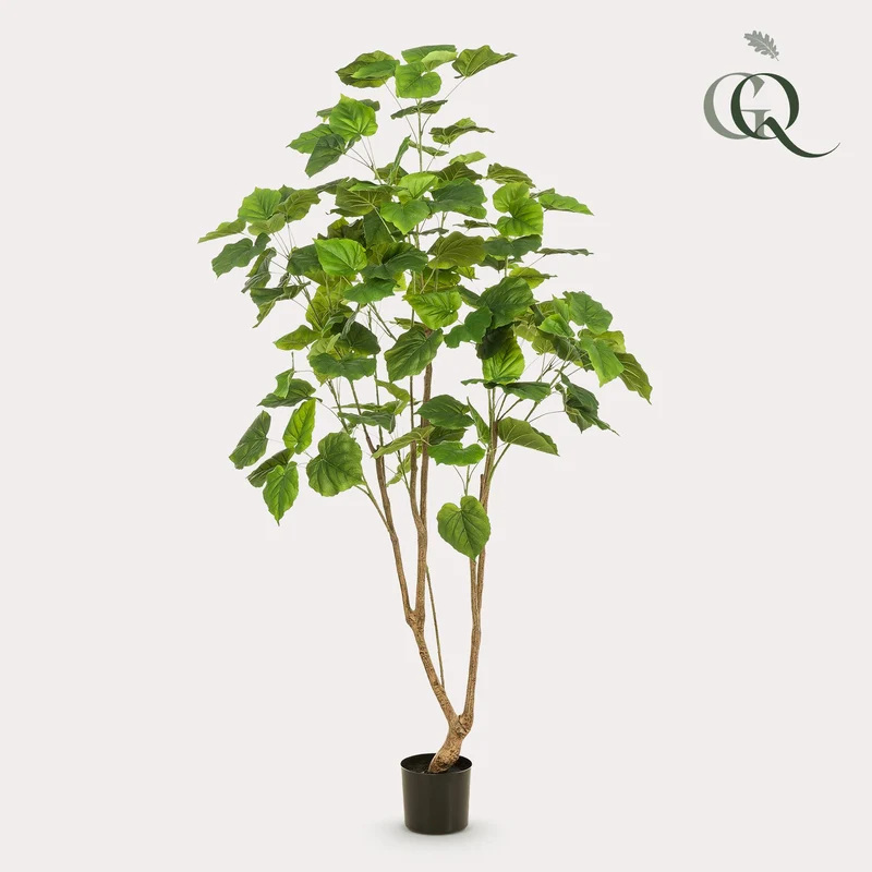 Künstliche Pflanze Ficus umbellata (afrikanische Feige), 125cm & 180cm