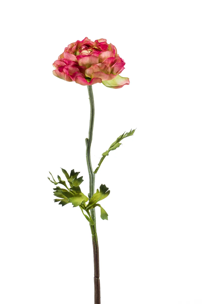Ranunkel künstlich 50 cm - 1 Stiel - Fuchsienrot/grün