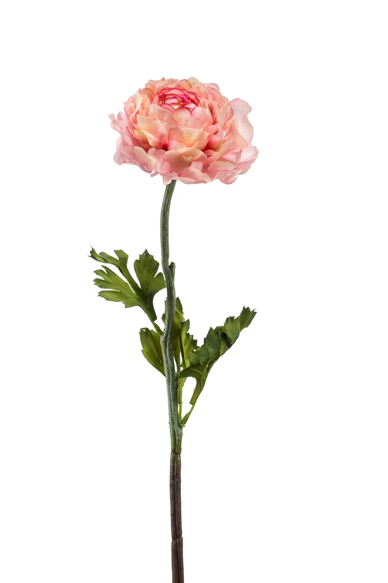 Ranunkel künstlich 50 cm - 1 Stiel - Rosa