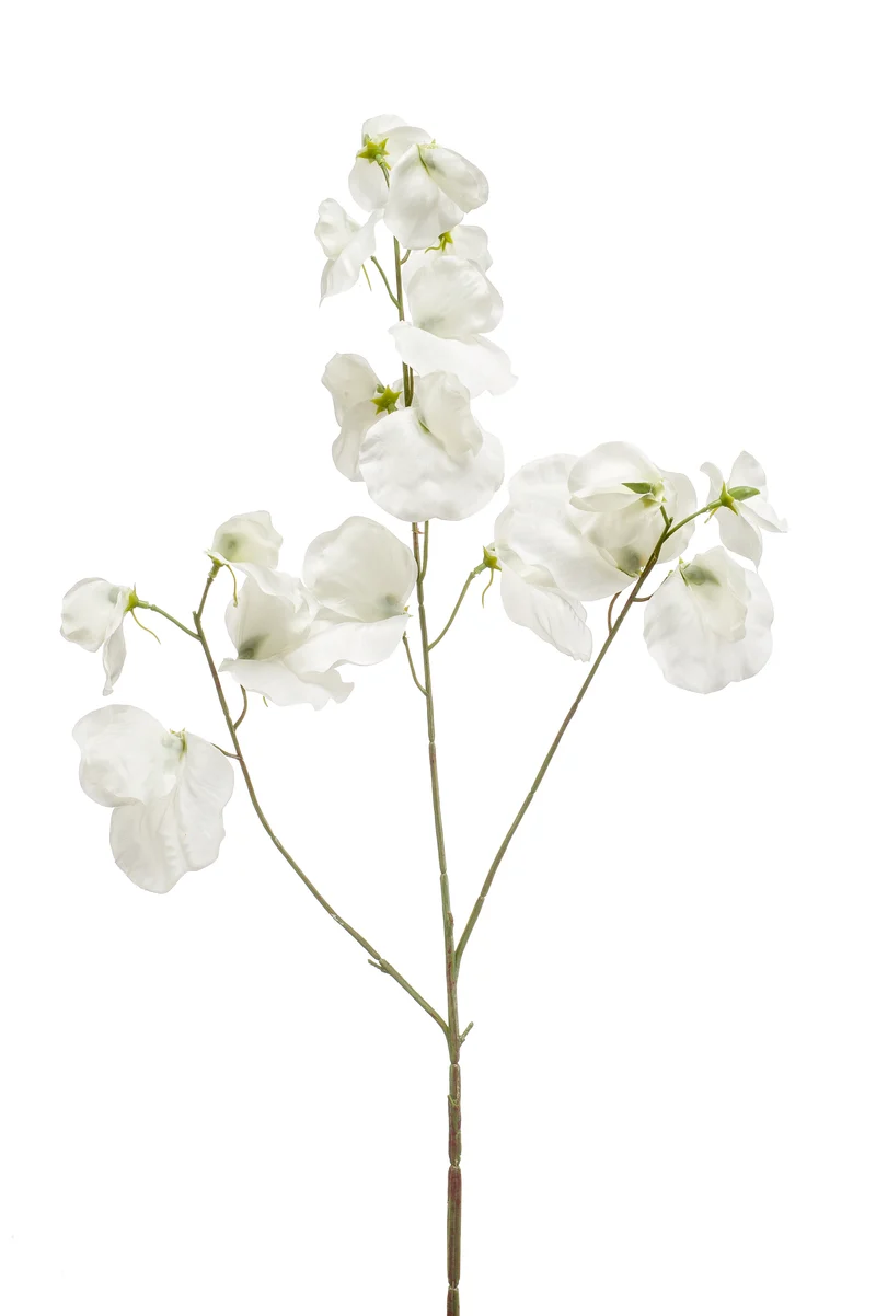 Lathyrus künstlich 75 cm - 1 Stiel - Creme