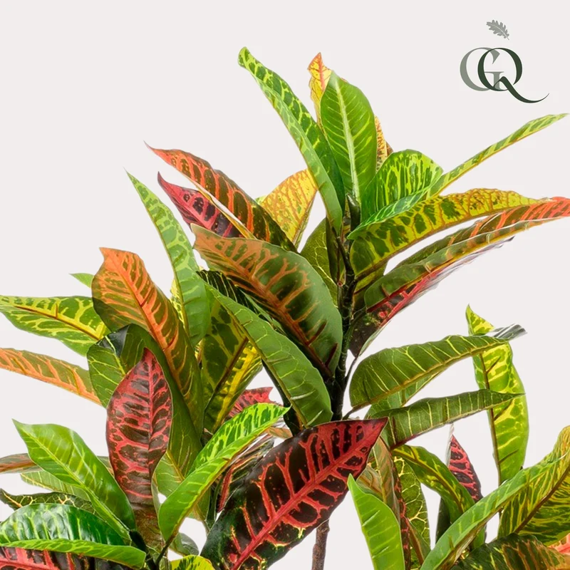 Kunstpflanze - Croton Codiaeum - Wunderstrauch - 95cm & 120cm