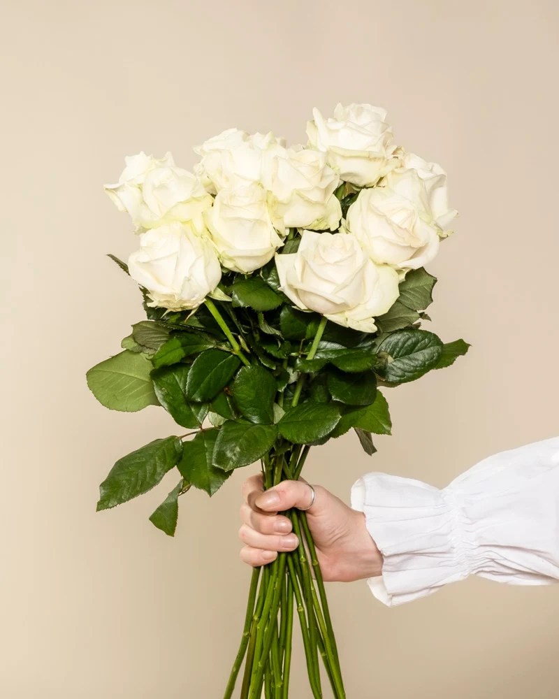 Weiße Rosen