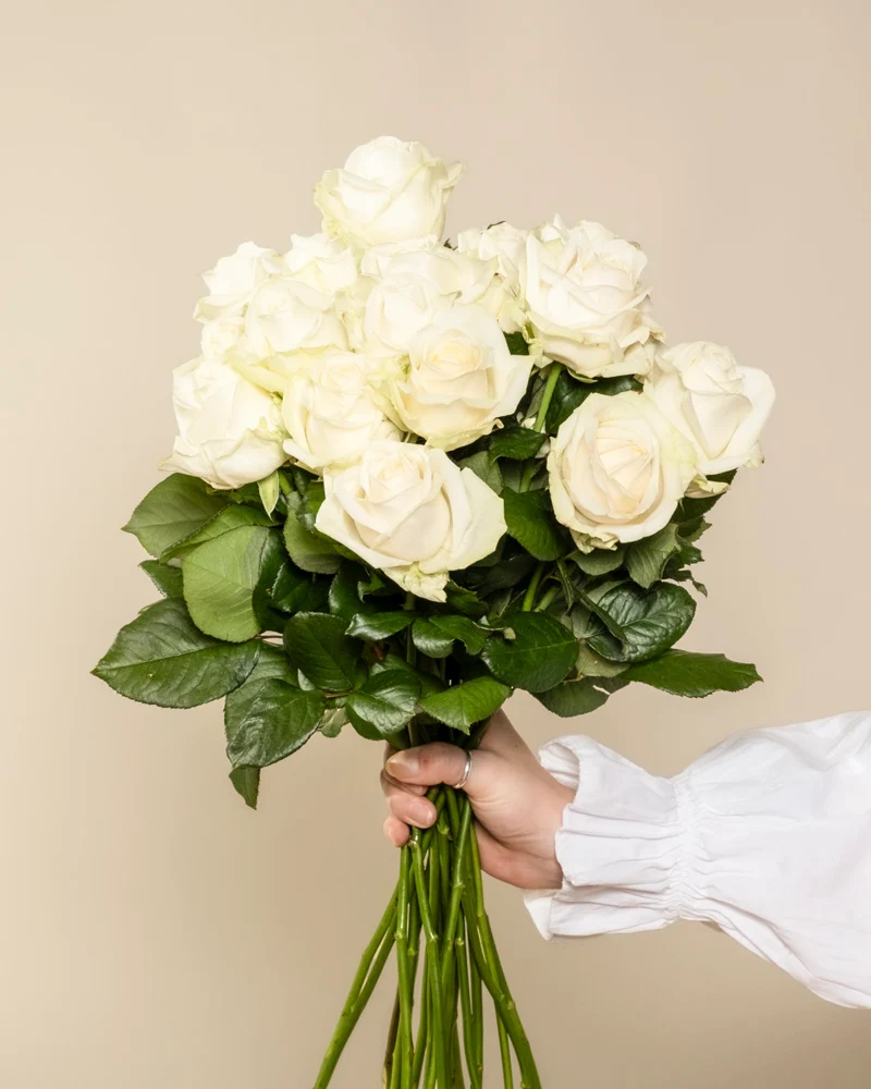 Weiße Rosen