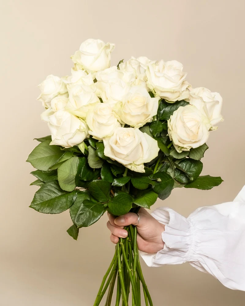 Weiße Rosen