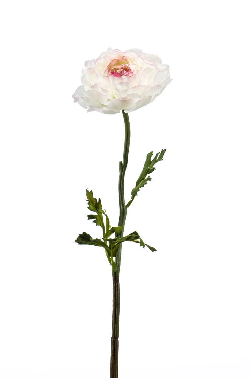 Ranunkel künstlich 50 cm - 1 Stiel - Creme/rosa