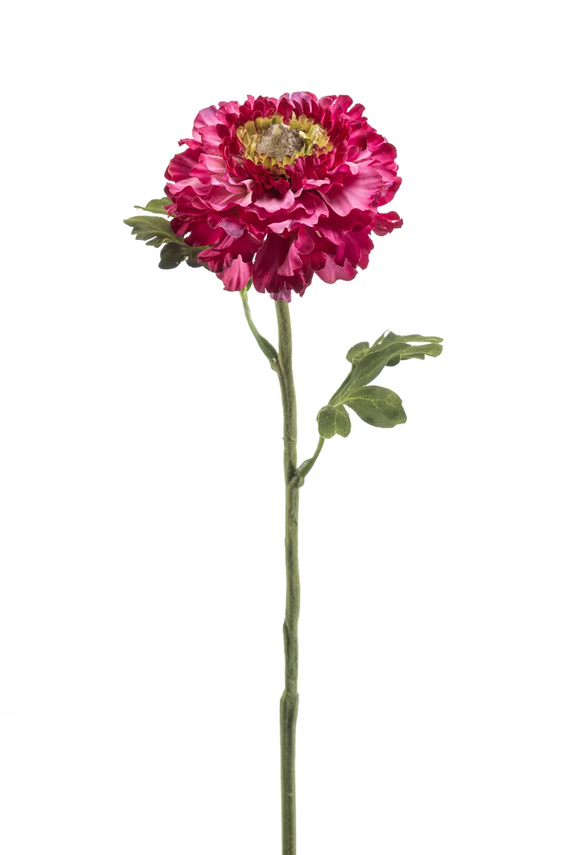 Ranunkel künstlich 60 cm - 1 Stiel - Fuchsienrot