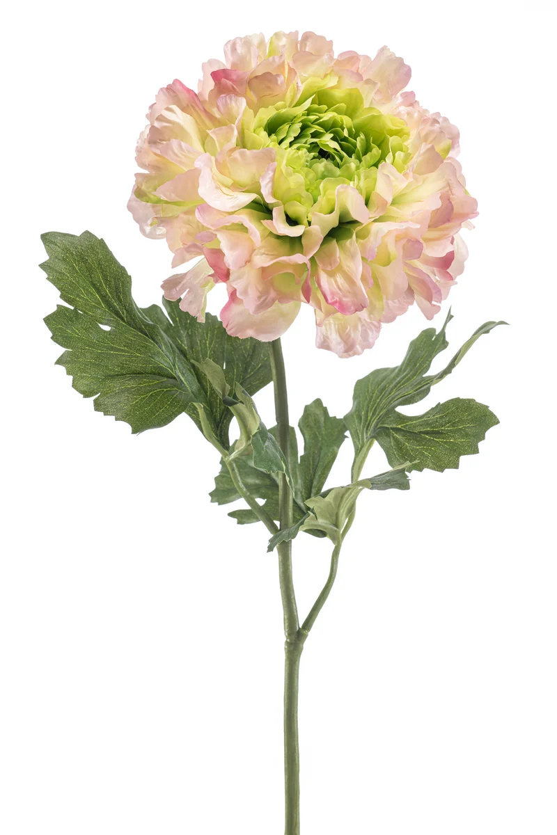 Ranunkel XL künstlich 60 cm - 1 Stiel - Rosa/grün