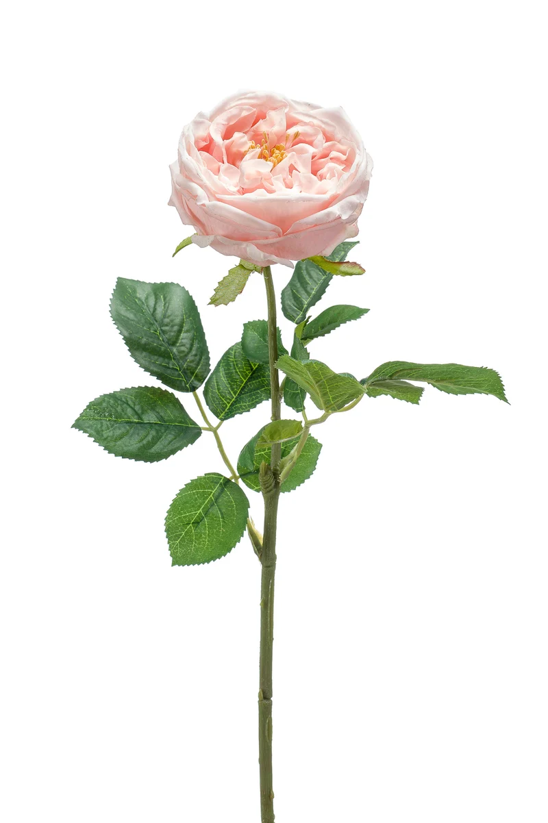 Englische Rose künstlich 60 cm - 1 Stiel - Pink blush