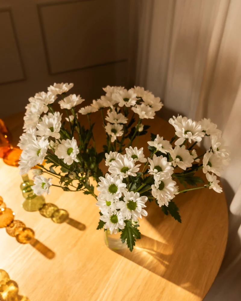 Chrysanthemen weiß