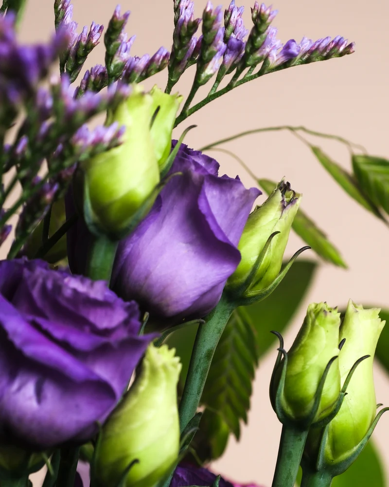 So kunterbunt wie du
