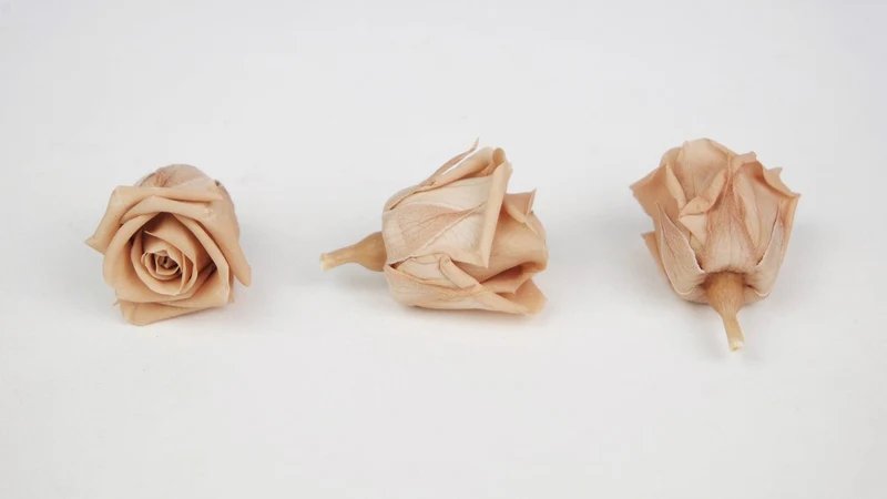 Stabilisierte Rosen Kiara 3 cm - 9 Stück - Nude