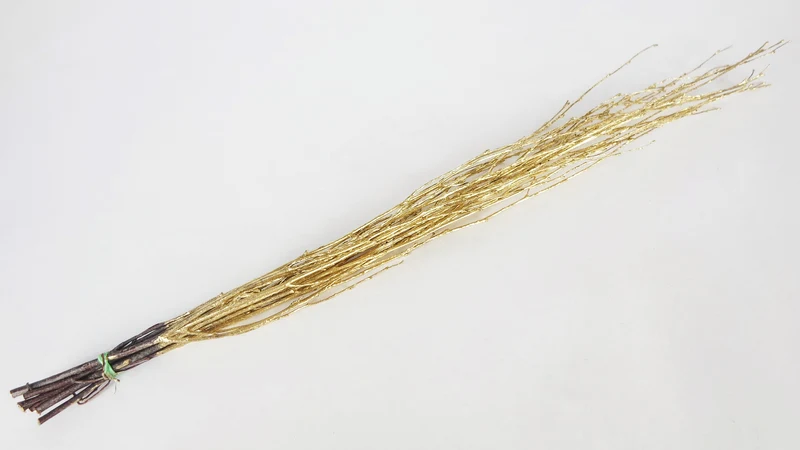 Birkenzweige getrocknet - 1 Bund - Gold