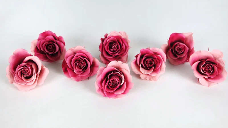 Rosen konserviert Grandeur Small Earth Matters - 8 Köpfe - Pink ruby 182