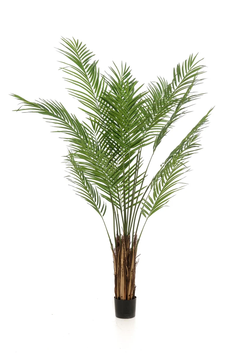 Kunstpflanze - Areca Lutescens - Goldpalme - 180cm & 240cm