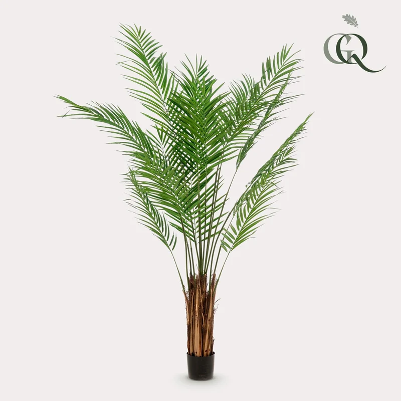 Kunstpflanze - Areca Lutescens - Goldpalme - 180cm & 240cm