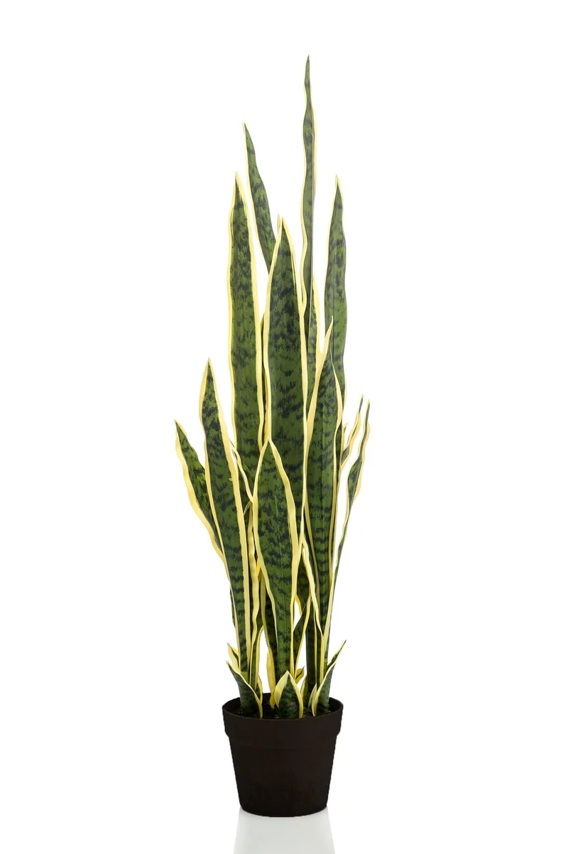 Kunstpflanze Sansevieria trifasciata (Frauenzunge) 97 cm