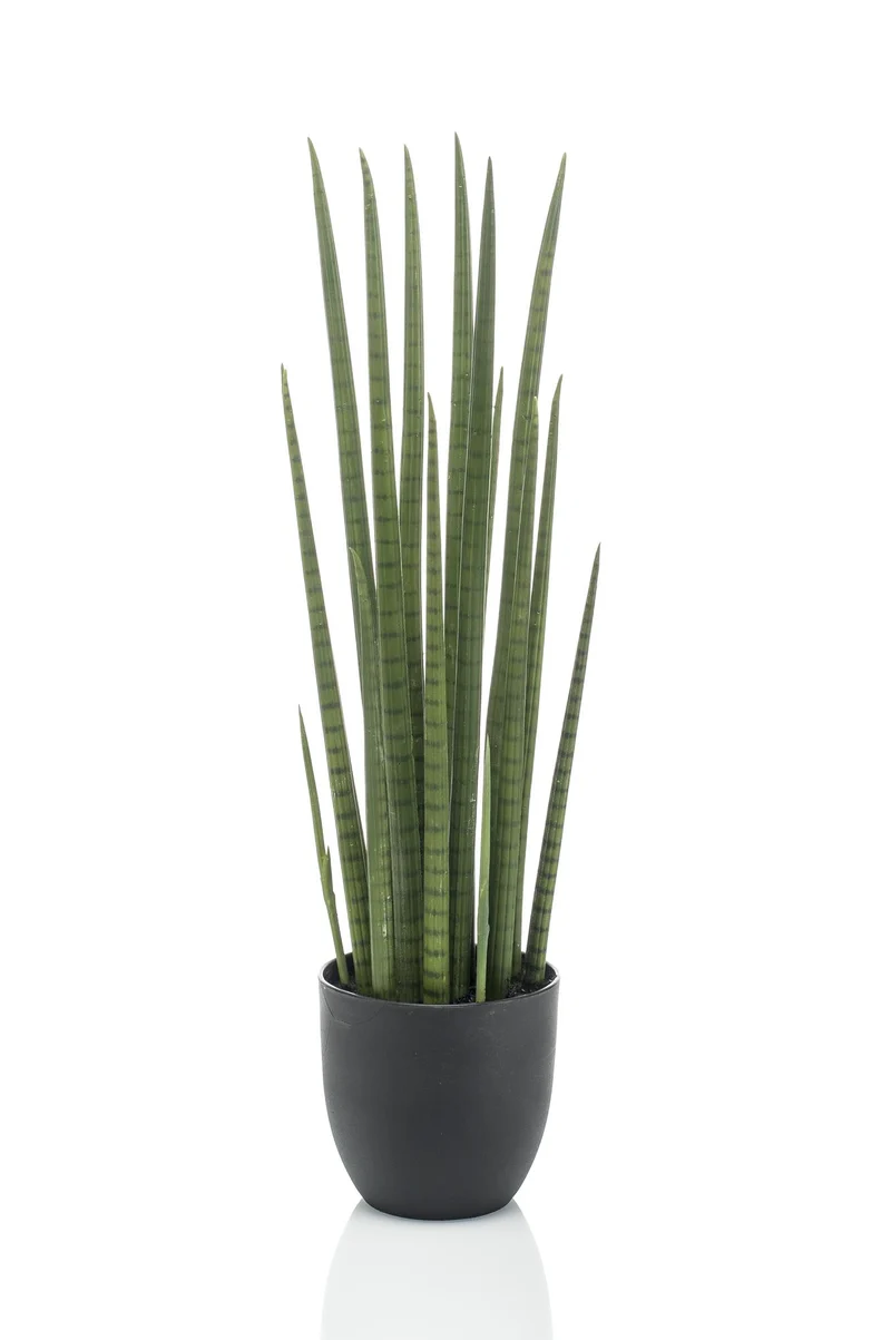 Kunstpflanze - Sansevieria Cylindrica - Frauenzunge - 70cm