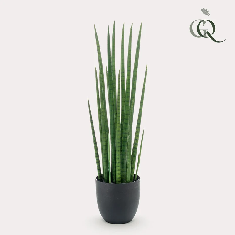 Kunstpflanze - Sansevieria Cylindrica - Frauenzunge - 70cm