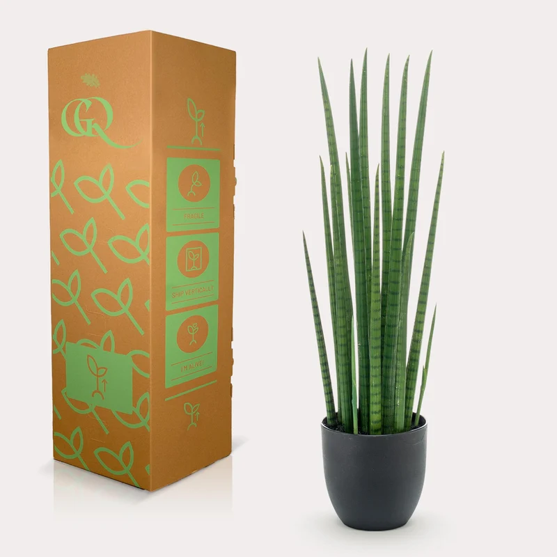 Kunstpflanze - Sansevieria Cylindrica - Frauenzunge - 70cm