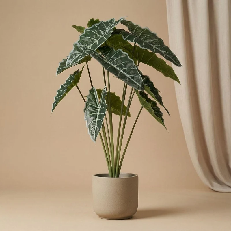 Kunstpflanze Alocasia 80 cm