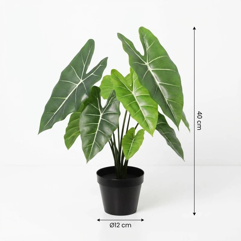 Künstliche Alocasia Polly 40cm