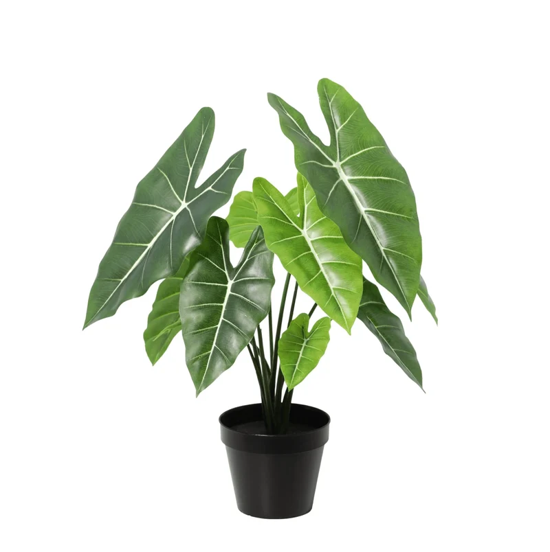 Künstliche Alocasia Polly 40cm