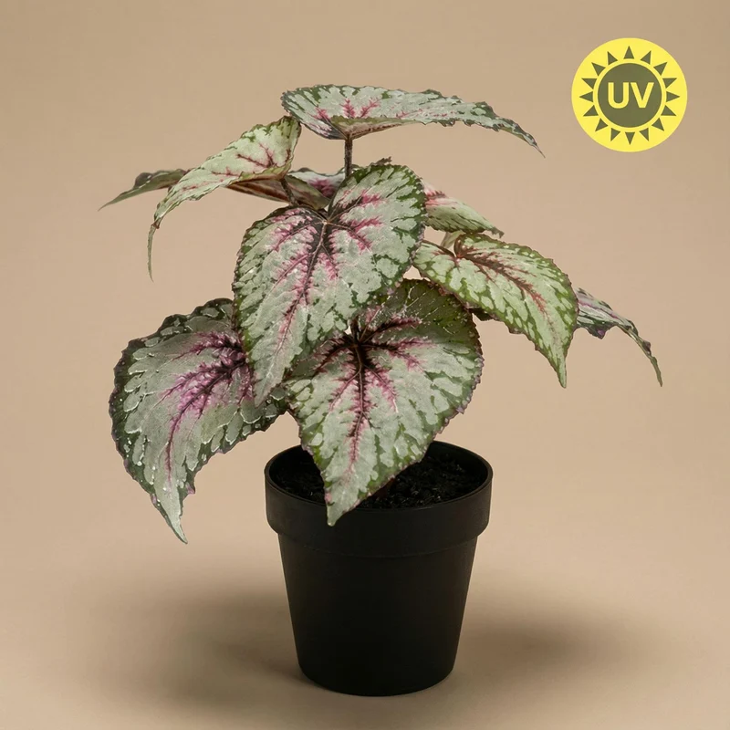 Künstliche Begonie 26 cm im Topf | UV-beständig | Indoor & Outdoor