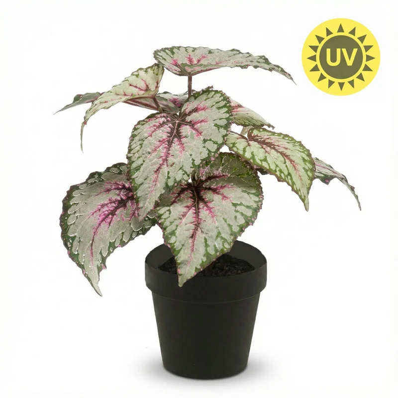 Künstliche Begonie 26 cm im Topf | UV-beständig | Indoor & Outdoor