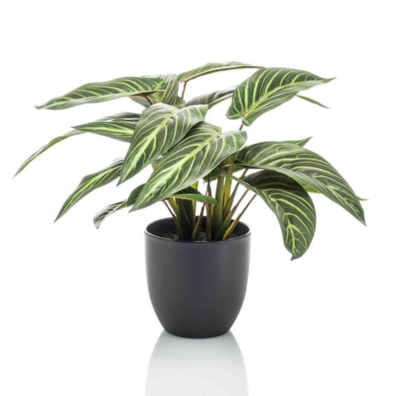 Künstliche Calathea Zebrina 42 cm im schwarzen Topf