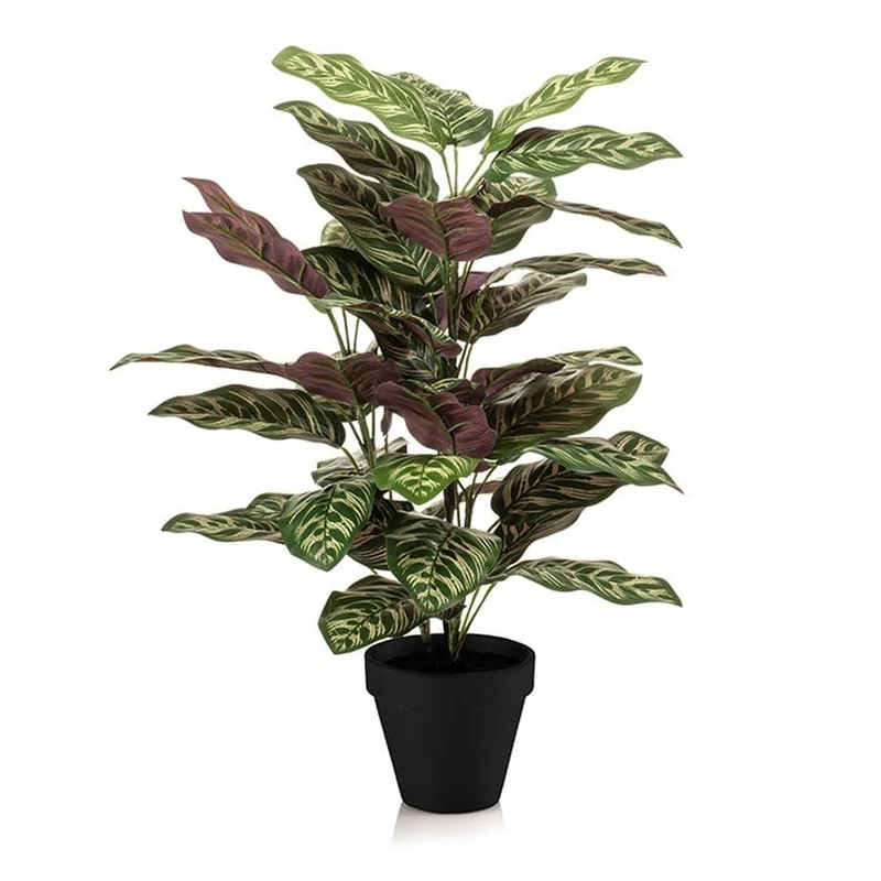 Künstliche Calathea im Topf 65 cm