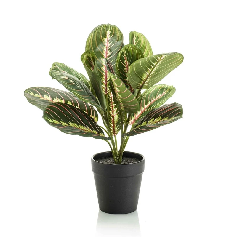Künstliche Maranta grün 30 cm im schwarzen Topf