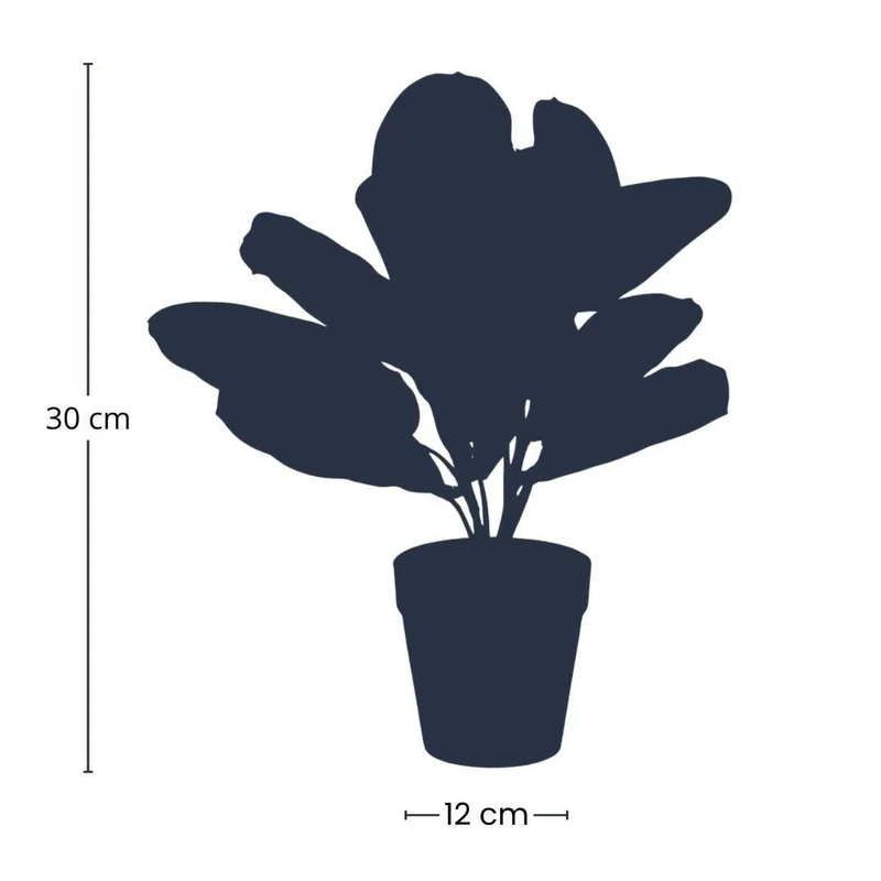 Künstliche Maranta grün 30 cm im schwarzen Topf