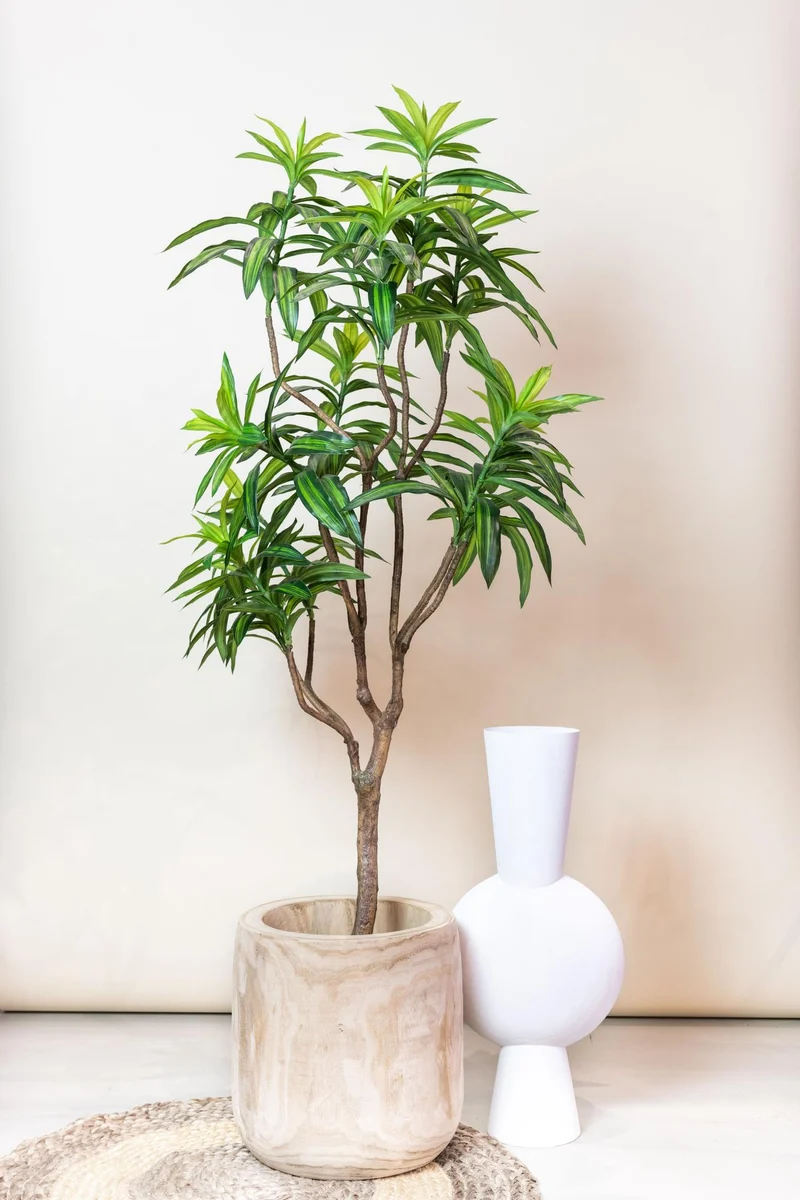 Kunstpflanze - Dracaena - Drachenbaum - 130 cm,155cm,190cm