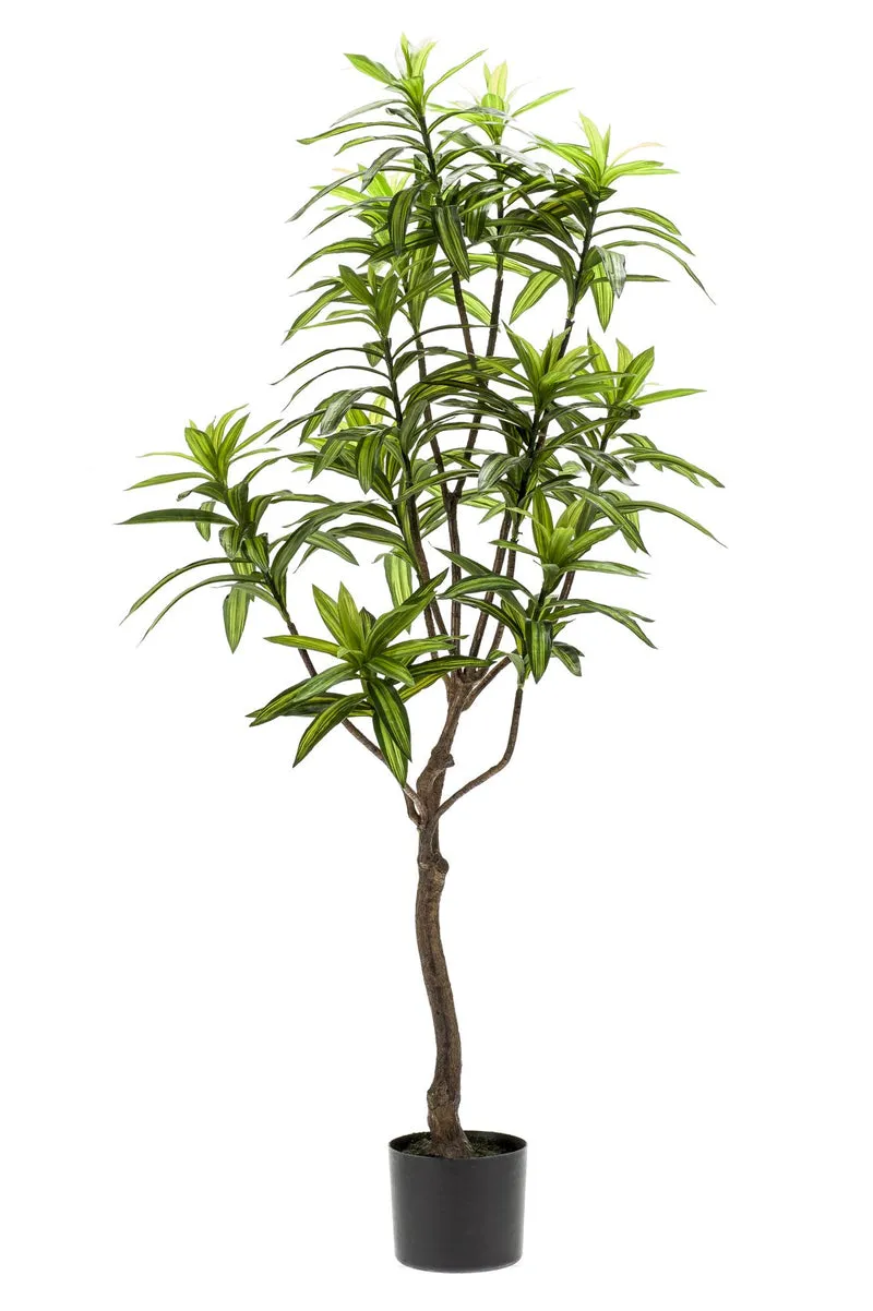 Kunstpflanze - Dracaena - Drachenbaum - 130 cm,155cm,190cm
