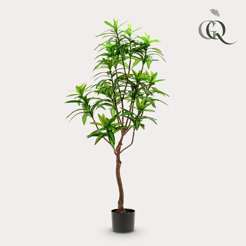 Kunstpflanze - Dracaena - Drachenbaum - 130 cm,155cm,190cm