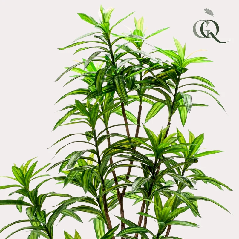 Kunstpflanze - Dracaena - Drachenbaum - 130 cm,155cm,190cm